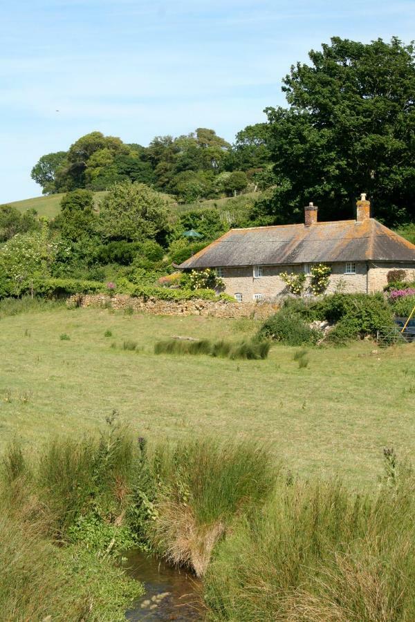 The Cottage Abbotsbury Exterior foto